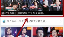 四季最新爆料视频下载免费,四大季精彩瞬间免费大放送！