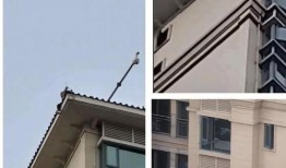 网友爆料坠楼案件最新进展,警方调查深入，疑点逐步揭开